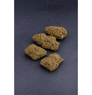 GORILLA GLUE - GLASSHOUSE