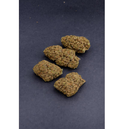 GORILLA GLUE - GLASSHOUSE