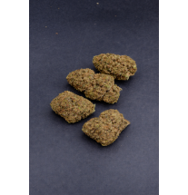 GORILLA GLUE - GLASSHOUSE