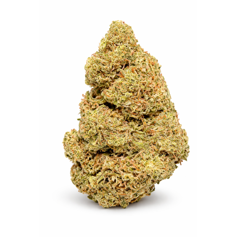 GORILLA KUSH - GLASSHOUSE