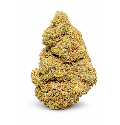 GORILLA KUSH - GLASSHOUSE