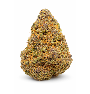 GRAPPE MADNESS - GLASSHOUSE