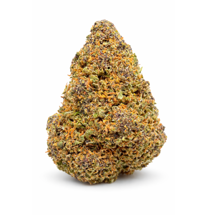 GRAPPE MADNESS - GLASSHOUSE