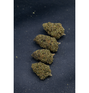 GRAPPE MADNESS - GLASSHOUSE