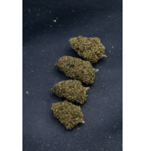 GRAPPE MADNESS - GLASSHOUSE