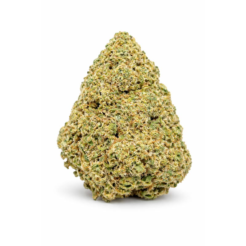 GUAVALATO - GLASSHOUSE GUAVALATO - GLASSHOUSE