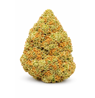 ORANGE BUD - GLASSHOUSE