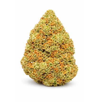 ORANGE BUD - GLASSHOUSE