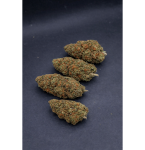 ORANGE BUD - GLASSHOUSE