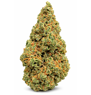 PINEAPPLE EXPRESS - GLASSHOUSE