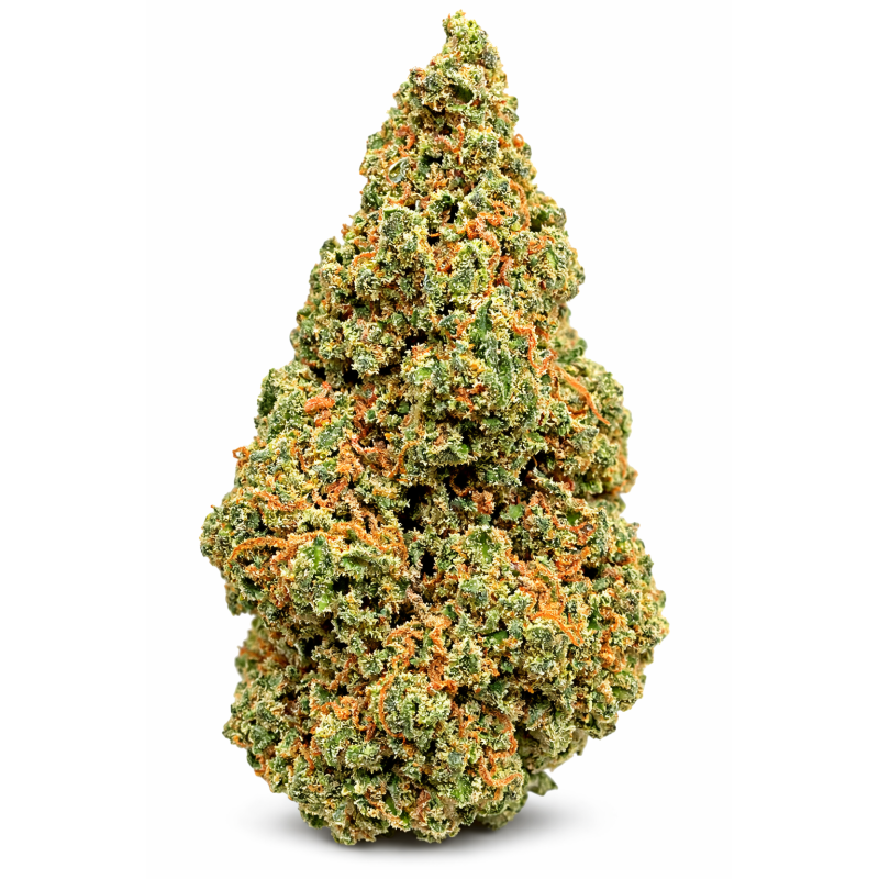 PINEAPPLE EXPRESS - GLASSHOUSE PINEAPPLE EXPRESS - GLASSHOUSE