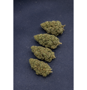 PINEAPPLE EXPRESS - GLASSHOUSE