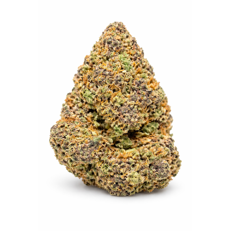 PURPLE PUNCH - GLASSHOUSE PURPLE PUNCH - GLASSHOUSE