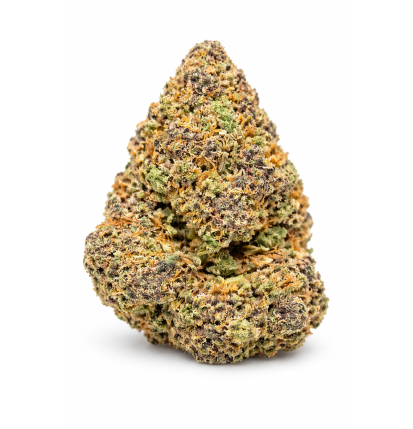 PURPLE PUNCH - GLASSHOUSE