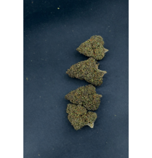 PURPLE PUNCH - GLASSHOUSE