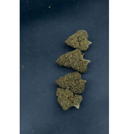 PURPLE PUNCH - GLASSHOUSE