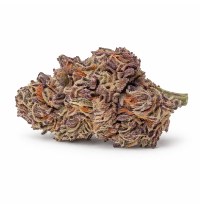 PURPLE HAZ - SMALLBUD