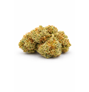 ORANGELLO - SMALLBUD