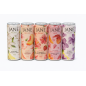 🥤 Pack de 5 Canettes JANE 35 mg – Multi Goûts