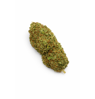 CHEESCAKE - GREENHOUSE