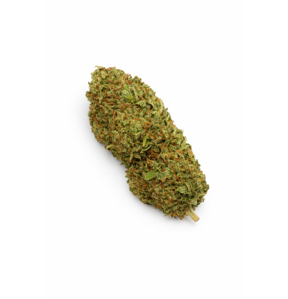 CHEESCAKE - GREENHOUSE