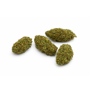 CHEESCAKE - GREENHOUSE