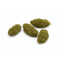 CHEESCAKE - GREENHOUSE