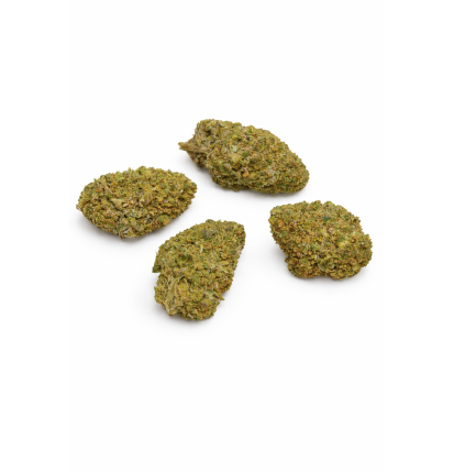 LEMON TONIC - GREENHOUSE