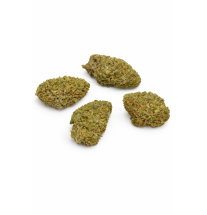 LEMON TONIC - GREENHOUSE