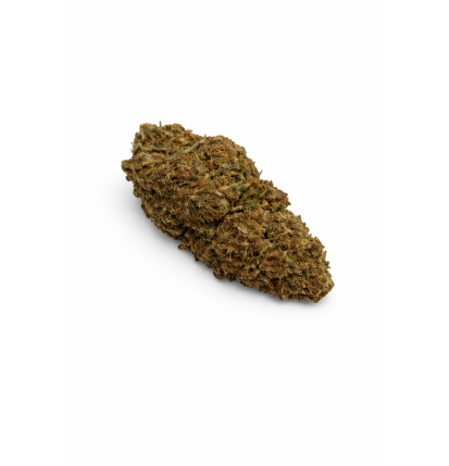 OG KUSH - GREENHOUSE