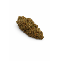 OG KUSH - GREENHOUSE