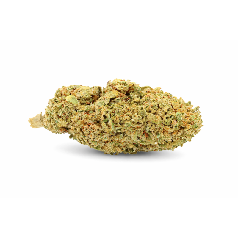 WHITE WIDOW - GREENHOUSE WHITE WIDOW - GREENHOUSE