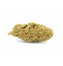 WHITE WIDOW - GREENHOUSE