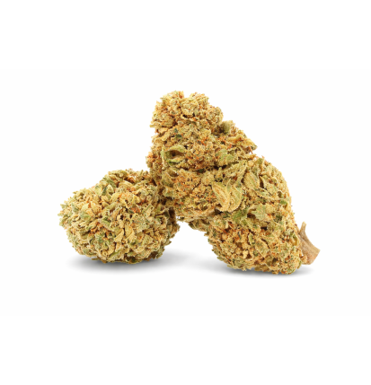 WHITE WIDOW - GREENHOUSE