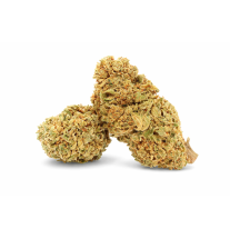 WHITE WIDOW - GREENHOUSE