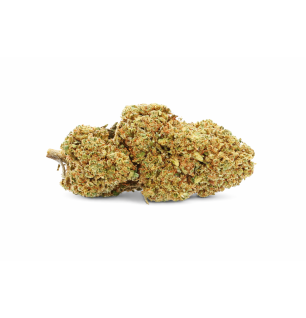 STRAWBERRY - GREENHOUSE