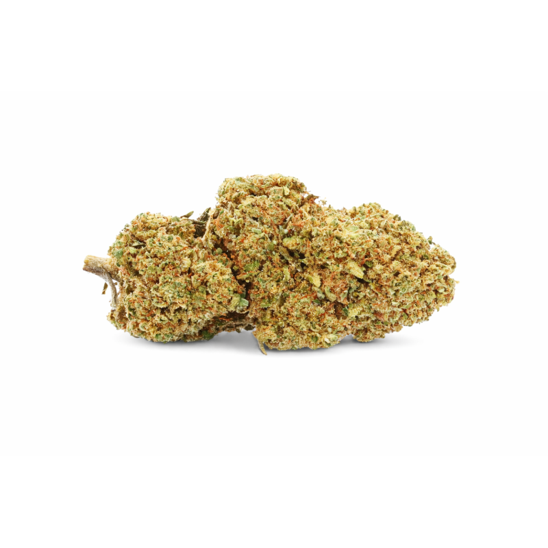 STRAWBERRY - GREENHOUSE STRAWBERRY - GREENHOUSE