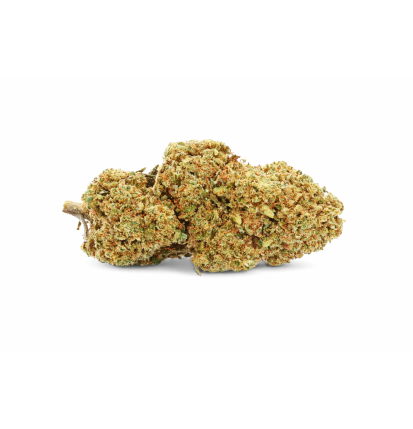 STRAWBERRY - GREENHOUSE