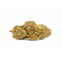 STRAWBERRY - GREENHOUSE