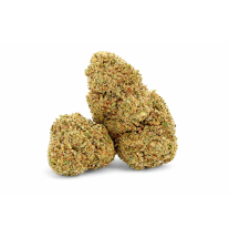 STRAWBERRY - GREENHOUSE